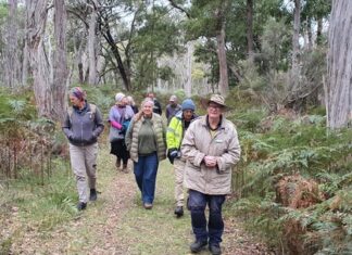 New plan for landscape board