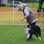 MGdogtrial_514860_01