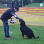 MGdogtrial_514860_11