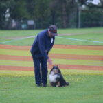 MGdogtrial_514860_15