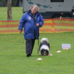 MGdogtrial_514860_16