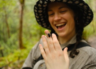 Backyard bug adventure