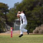 cricket_516942_01