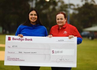 Great day on the diamond for a worthy cause