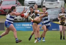 Mundulla and Cats still unbeaten