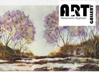 Art workshops in Naracoorte