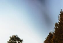 OneFortyOne 2025 Annual Review