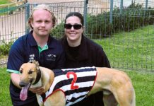 Young trainer is right in the hunt