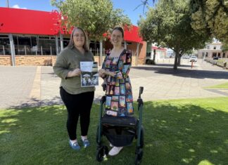 Inclusive disability plan endorsed