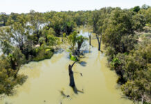 A Hotter, Drier Murray-Darling Basin: What the Science Says