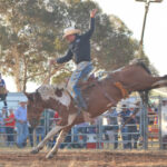 rodeo_529997_01