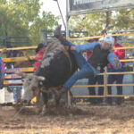 rodeo_529997_03