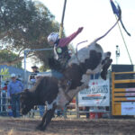 rodeo_529997_04