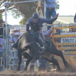rodeo_529997_05