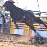 rodeo_529997_07