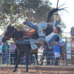 rodeo_529997_10