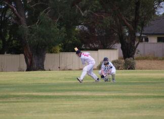 Bulldogs savage Mil Lel bowlers