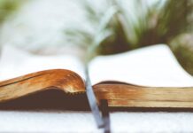 Good News for You: Communication – on the grow