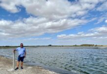 Kingston wastewater update