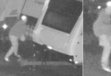 Fire bugs on warning