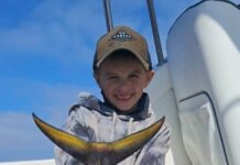 Dream conditions offshore