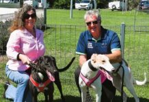 The Price is right for this year’s Mount Gambier Cup