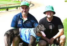 Galento packs a punch on debut at Tara Raceway