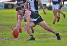 Saints prepare for premiership follow-up