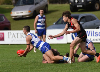 Bulldogs too strong for Cats