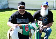 Flying the flag for the locals