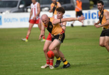 Tigers out for blood in 2026