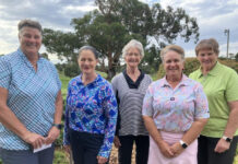 Numbers down at Mount Gambier