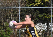 Reigning premiers start odds-on favourite