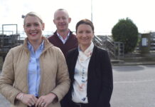 Saleyards and budget talks