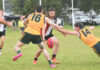 Mozzies rise above the Saints