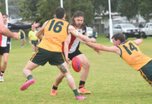 Mozzies rise above the Saints