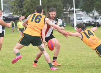 Mozzies rise above the Saints