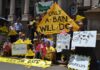 Community consultation underway for fracking
