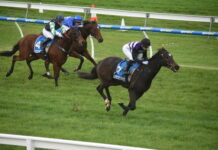 Cup Day crowd resurgence