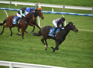 Cup Day crowd resurgence