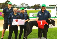 Big Diesel on the ball in Autumn Classic