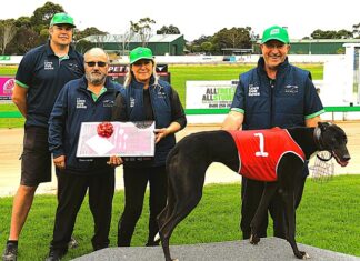Big Diesel on the ball in Autumn Classic