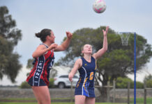 Magpies lead by example against Mozzies