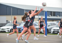 Tigers exploit damaged Bulldogs’ weakness