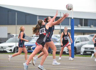 Tigers exploit damaged Bulldogs’ weakness