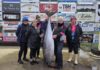Plenty of catch despite wild weather
